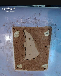 منزل وحديقة