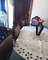 منزل وحديقة