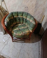منزل وحديقة