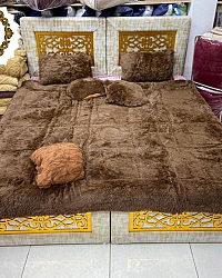 منزل وحديقة