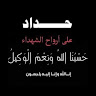 علاء وائل حسن سالم