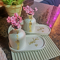 منزل وحديقة