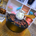 منزل وحديقة