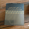 منزل وحديقة