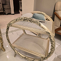 منزل وحديقة