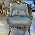 منزل وحديقة