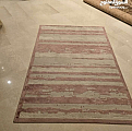 منزل وحديقة