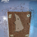 منزل وحديقة