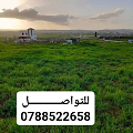 اخرى