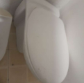 منزل وحديقة