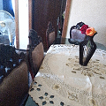 منزل وحديقة