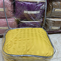 منزل وحديقة