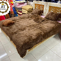 منزل وحديقة
