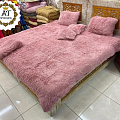 منزل وحديقة