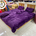 منزل وحديقة