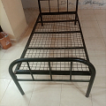 منزل وحديقة