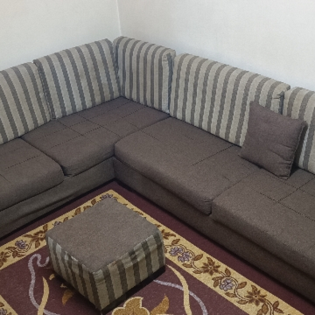 منزل وحديقة